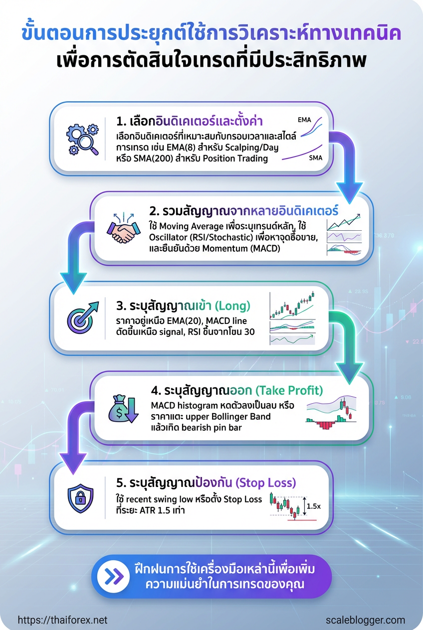 Visual breakdown: infographic