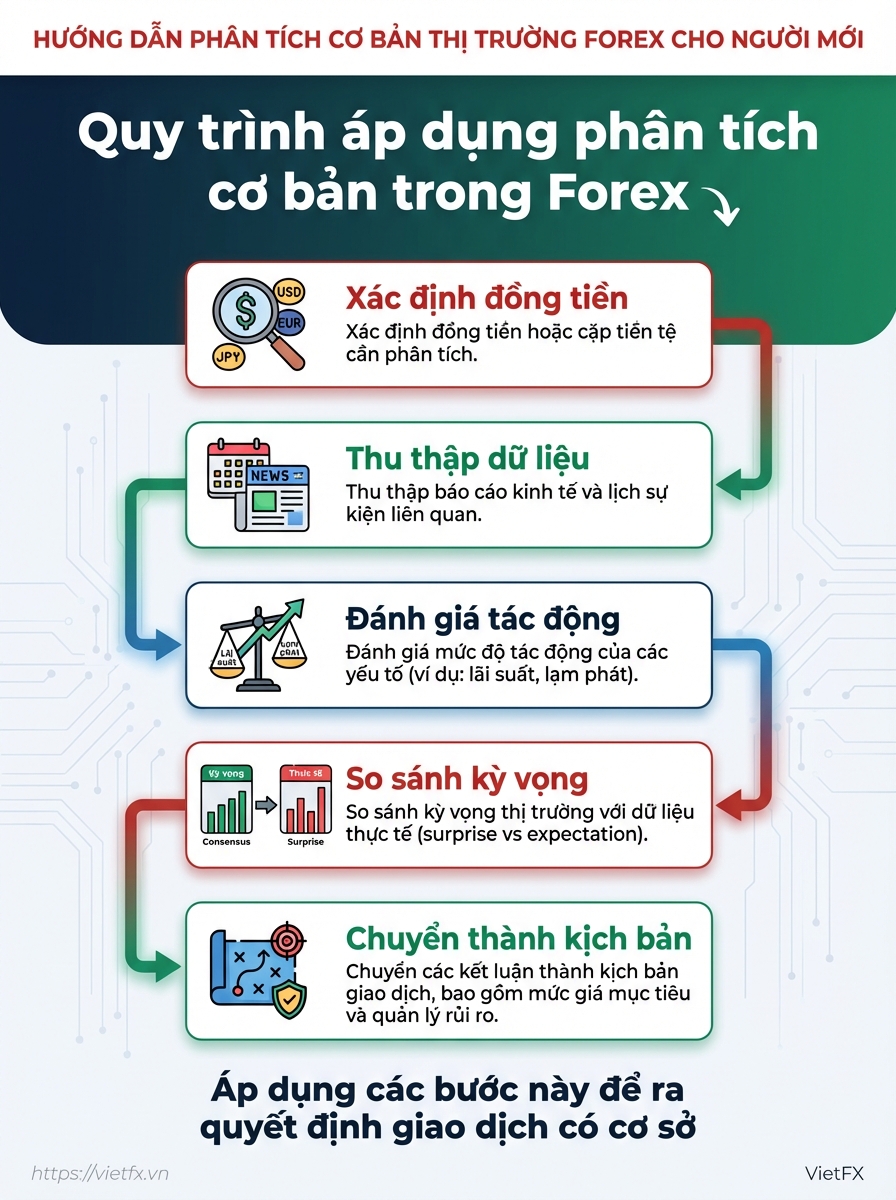 Visual breakdown: infographic